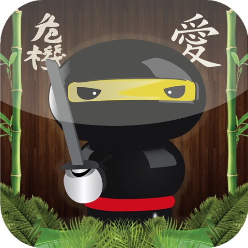 Ninja Slingshot Knockdown (iPad Version) icon