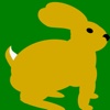 Bunny Matcher