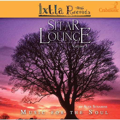 Sitar Lounge: Music for Your Soul