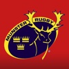 Munster Domestic Rugby