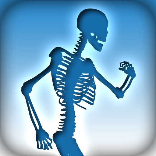 Skeletal System Terminology icon