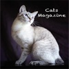 Cats Magazine - iPadアプリ