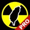 Radiation Pro is a power utility to show the real-time radiation monitoring information of Taiwan