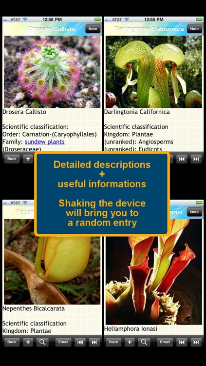 Carnivorous Plants Encyclopedia