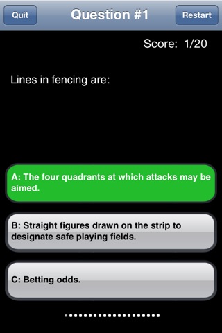 Fencing for Fun screenshot 3