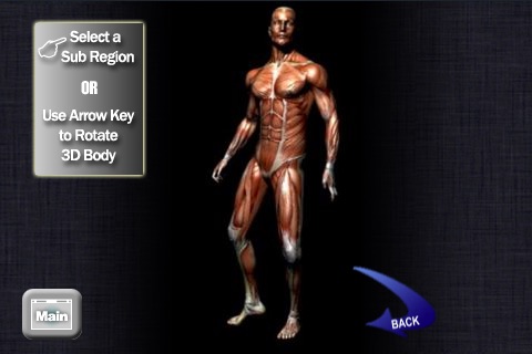 Martial Points 武穴 Pressure Points for Martial Artists – Chinese Ver.