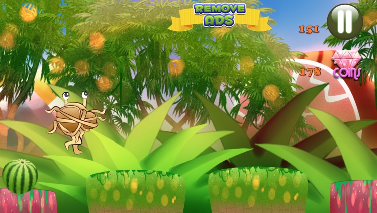 A Monster Meatballs Rush HD- Fruit Dash Shooter Edition FREE ! screenshot-3