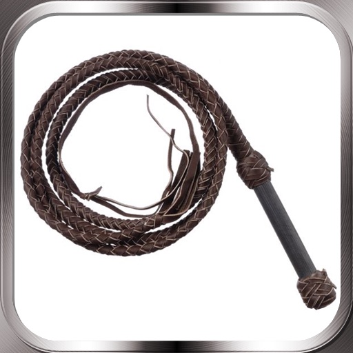 Whip for iPad icon