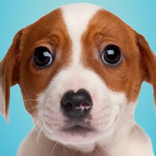 Dog Booth HD icon