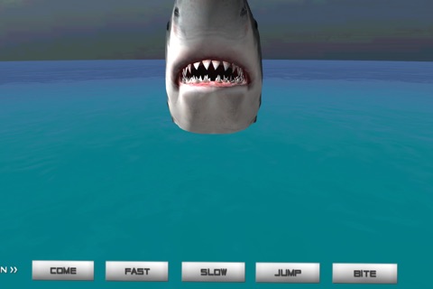 Pet Shark screenshot 2