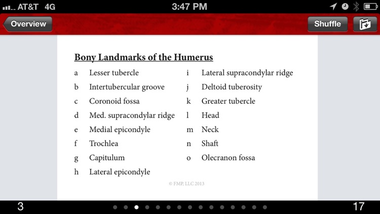 Anatomy & Kinesiology Flashcards