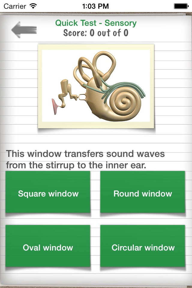 Easy Revision Leaving Cert Biology screenshot 3