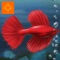 Fish Tycoon Free for iPad