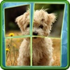 Slidy Puzzle: Animals - sliding puzzle for kids