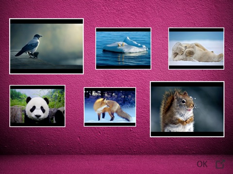 Photo Wall HD Lite screenshot 4