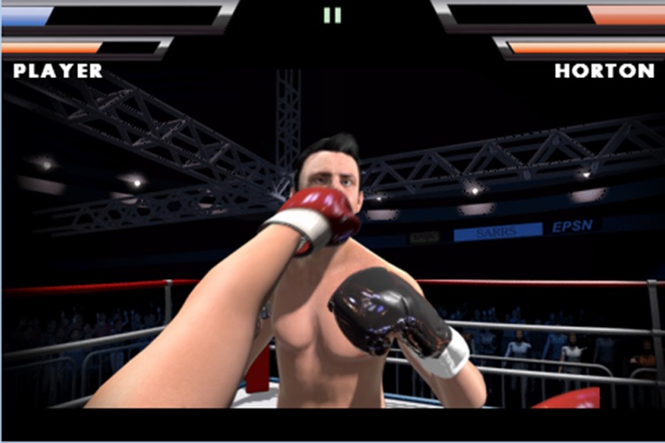 Rage Boxing screenshot-3