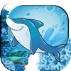 Dolphin Swim Safe Ocean Adventure