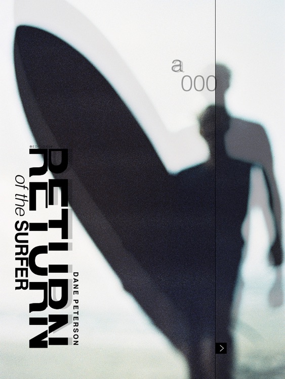 EDITION29 RETURN OF THE SURFER