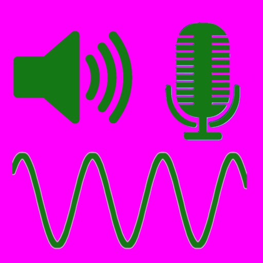 iVoice - Voice Processing icon