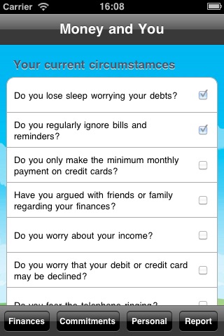 MoneySave Debt Calculator screenshot 3
