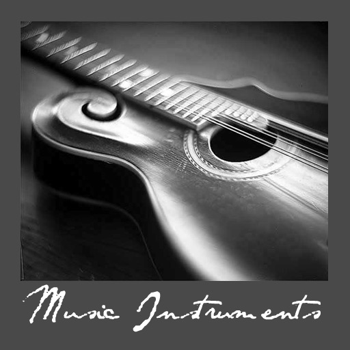 Music Instruments by Tidels icon