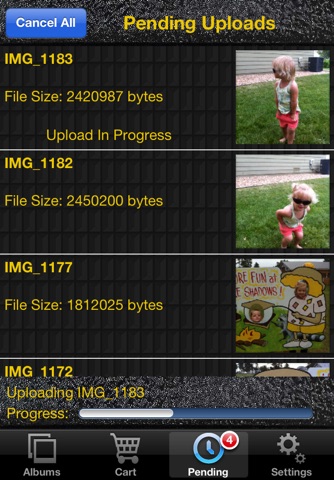 Pitman Photo Supply screenshot 2