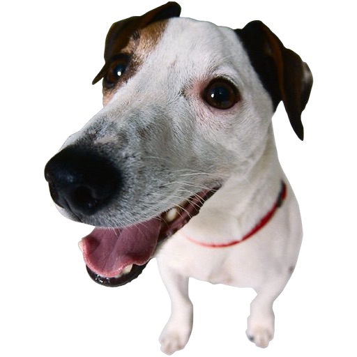 Animals Sound Machine icon