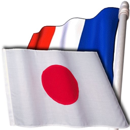 Pammac Japanese French Dictionary icon