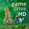 Game Drive HD - A safari guide to the animals and wildlife of South Africa