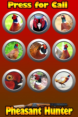 Pheasant Hunt Calls screenshot 2