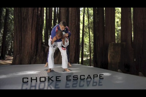 Brazilian Jiu Jitsu: Throws and Takedowns 1
