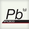 #PICBOD 2012