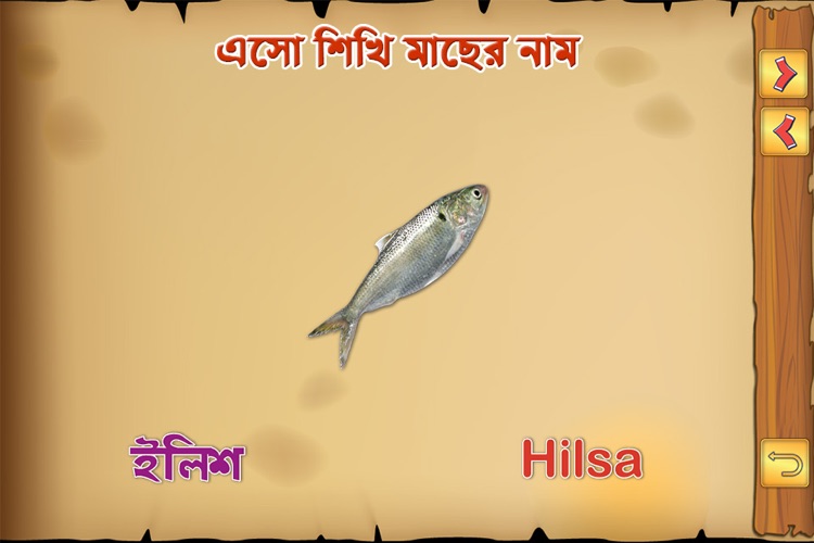 Bengali Fish