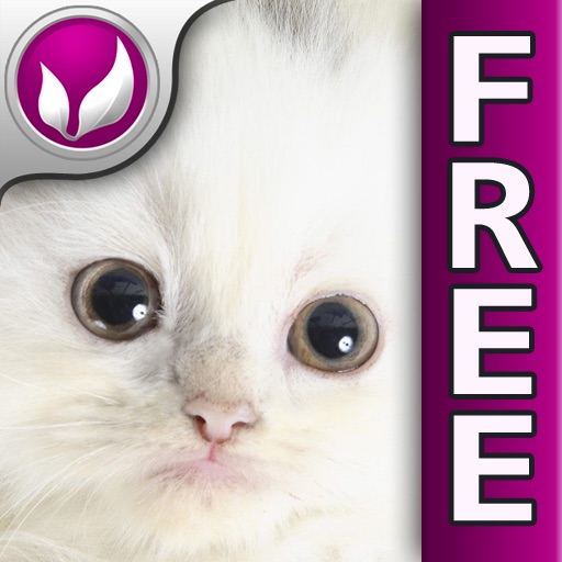 giveMe Cats icon