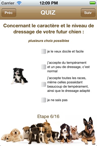 QUEL CHIEN ? screenshot 3