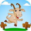Goat Runner