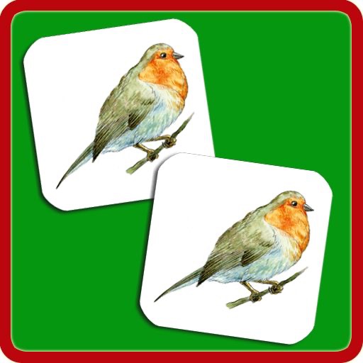 Memory Match – Nature HD icon