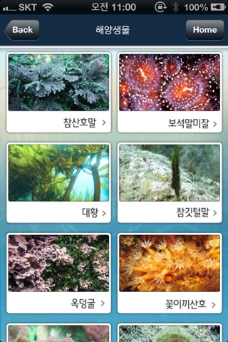 울릉도∙독도 해양생태관 screenshot 4