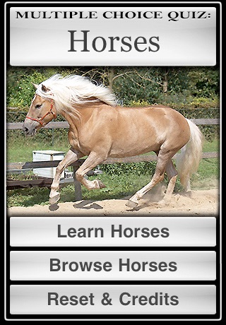 Horses! screenshot 4