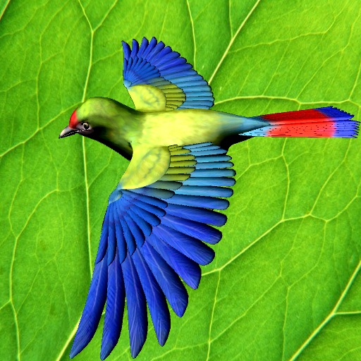 Forest Birds Icon