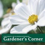Gardeners Corner