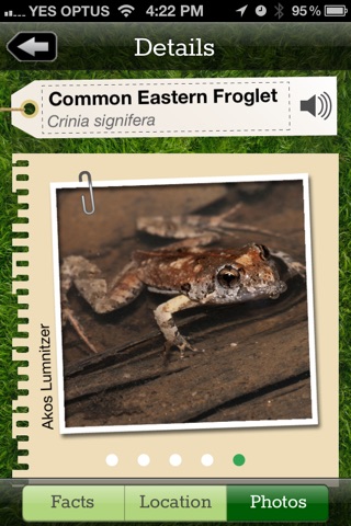 Frogs Field Guide screenshot 4