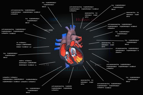 Open Heart 3D St screenshot 3