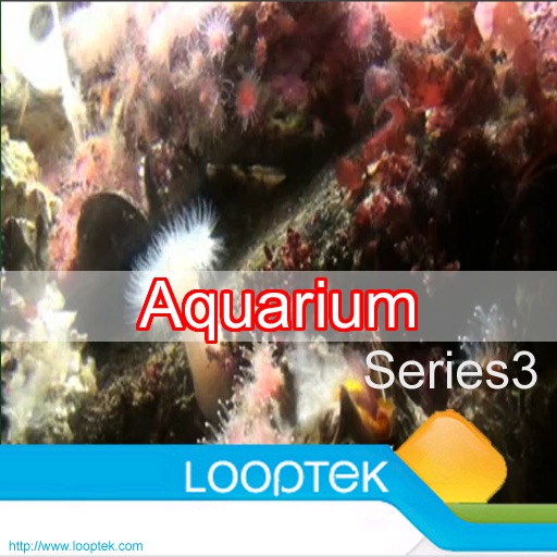 Aquarium Series 3 by LoopTek