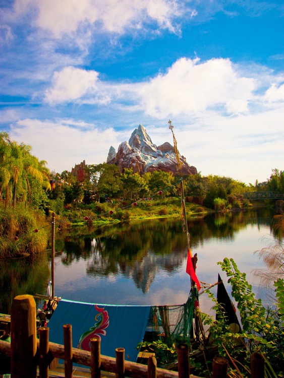 Animal Kingdom Wallpapers from Disney Photography Blog by Keith Kolmos
