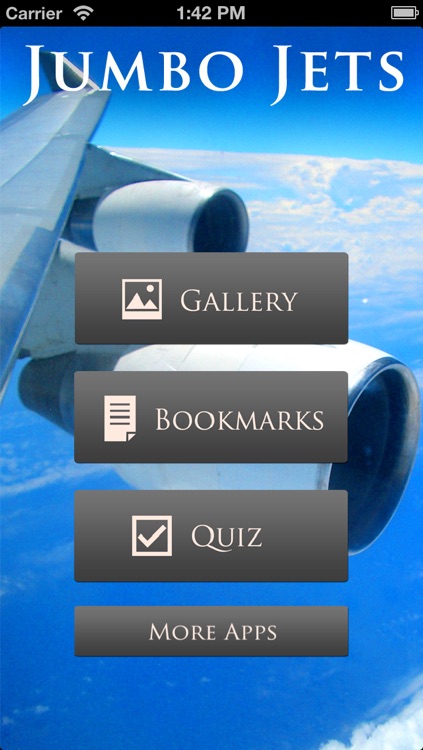 Jumbo Jets: Wide Body Aircraft