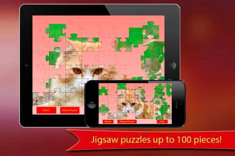 Find Puzzle screenshot 4