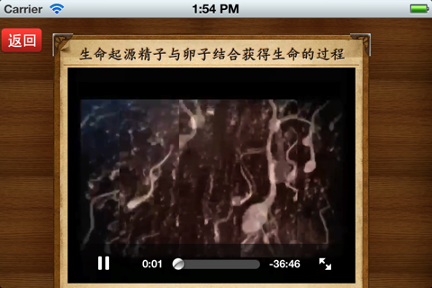 健康怀孕 screenshot 2