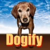 Dogify Your Photo!