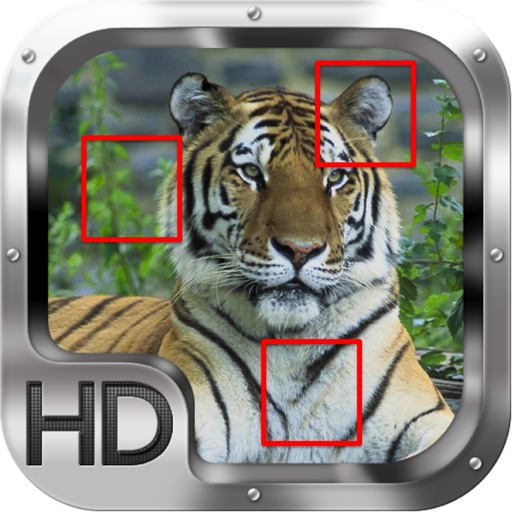 Find Fast Animals Icon